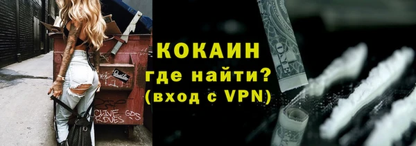 прущие грибы Каменка