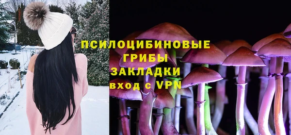прущие грибы Каменка