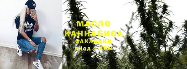 прущие грибы Каменка