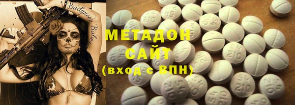 прущие грибы Каменка