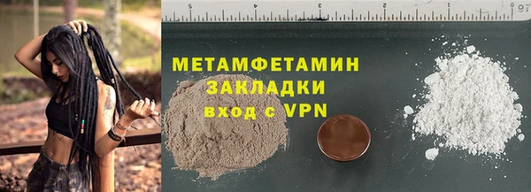 прущие грибы Каменка