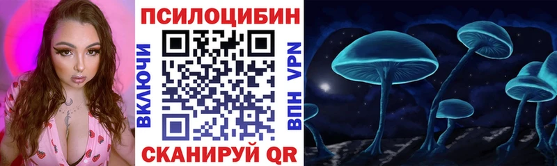 Псилоцибиновые грибы Psilocybe  Купить закладки  Давлеканово 